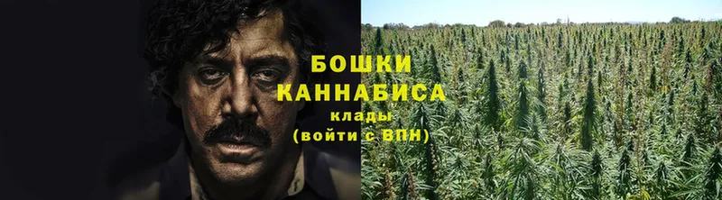 купить  цена  Светлоград  Бошки марихуана OG Kush 